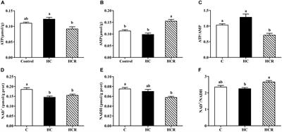 Resveratrol Improves the Energy Sensing and Glycolipid Metabolism of Blunt Snout Bream Megalobrama amblycephala Fed High-Carbohydrate Diets by Activating the AMPK–SIRT1–PGC-1α Network